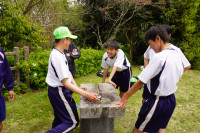 DSC01954