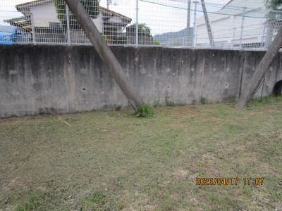 IMG_0264