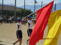IMG_0601