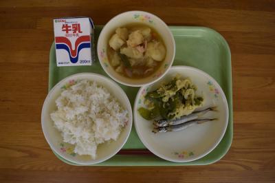 給食