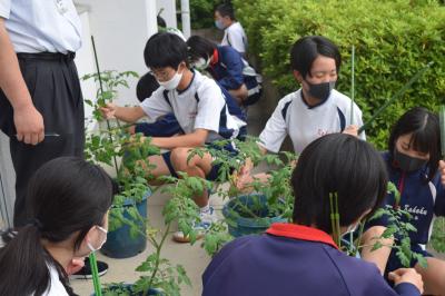 ３年技術