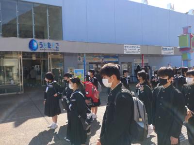 うみたまご
