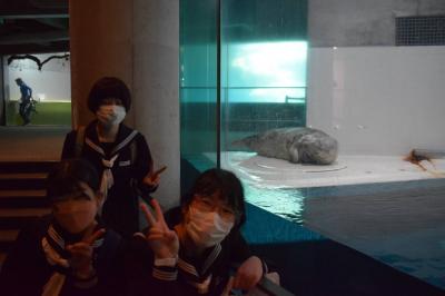 うみたまご