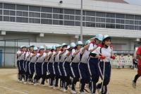 体育大会 体育大会