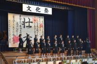文化祭 文化祭