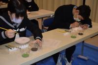 砥部焼絵付け 砥部焼絵付け
