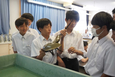 DSC00011