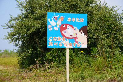 DSC00073