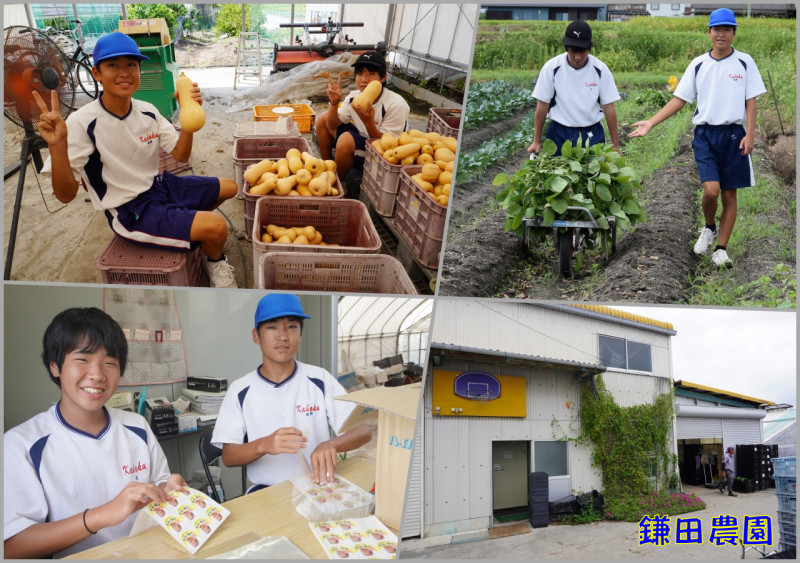 鎌田農園HP
