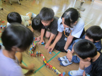 楠河小 (1)